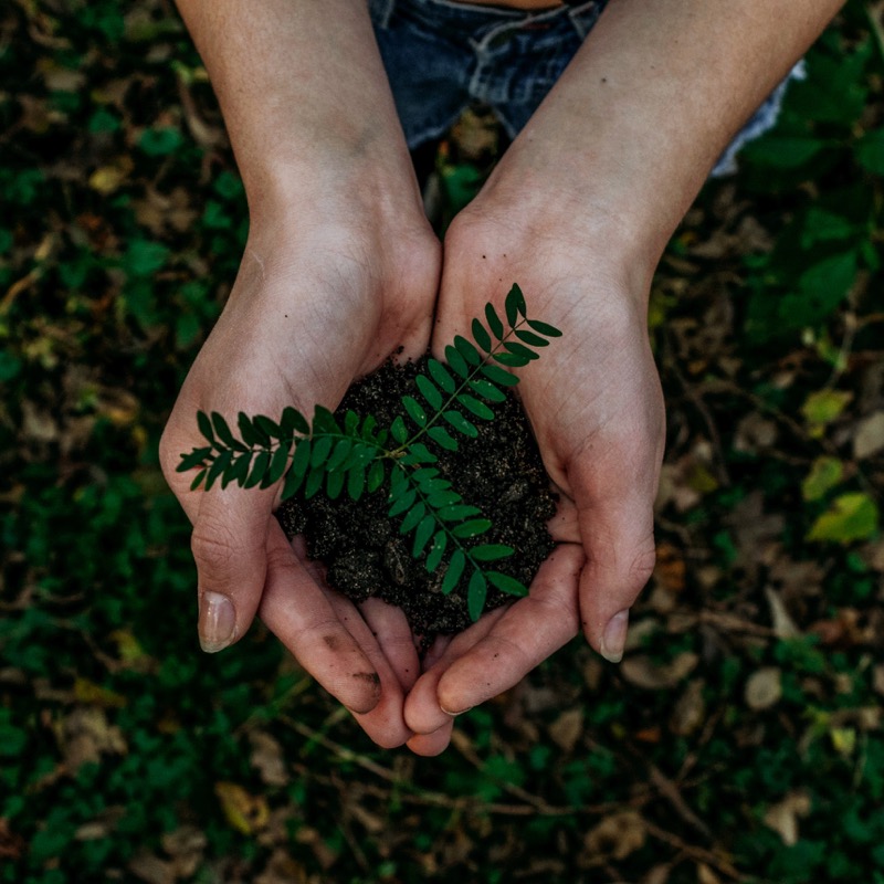 Going Green: Why Sustainability is a Win-Win for the Environment and Your Restaurant