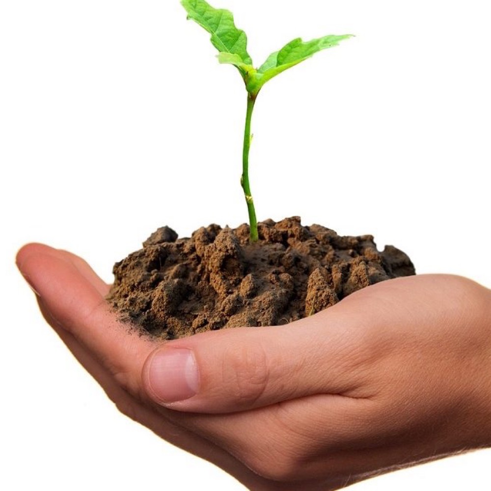 Growing a Restaurant Strategically – The Keys Are Alignment, Timing and Control