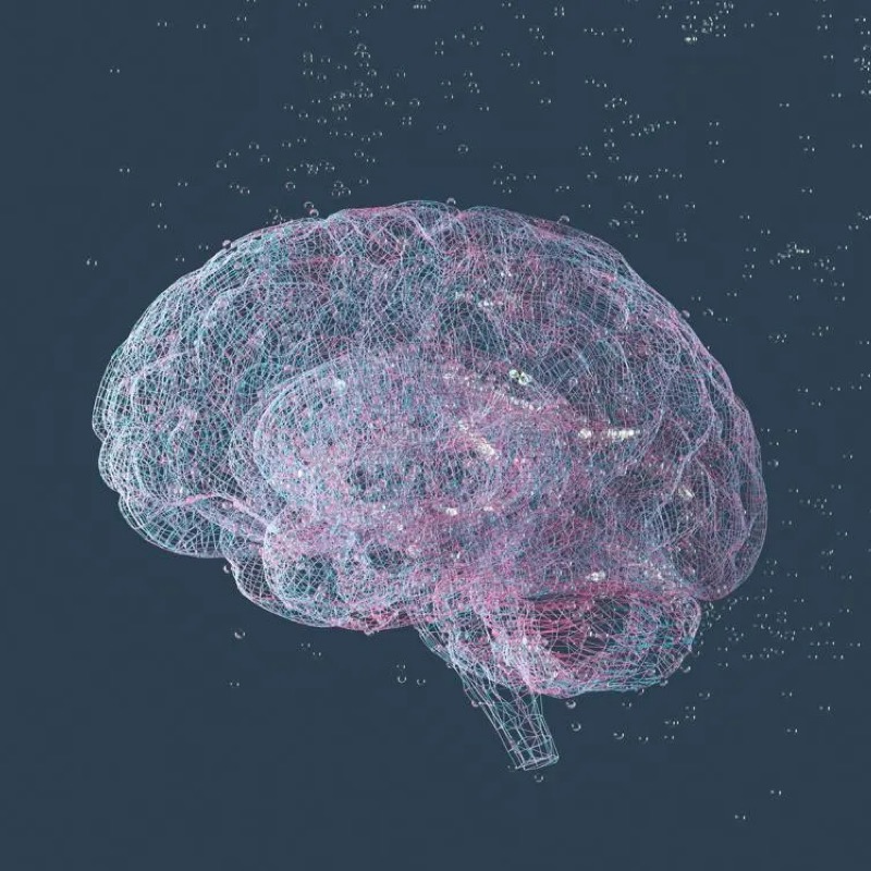 Neuromarketing: The Future Of Marketing Strategy