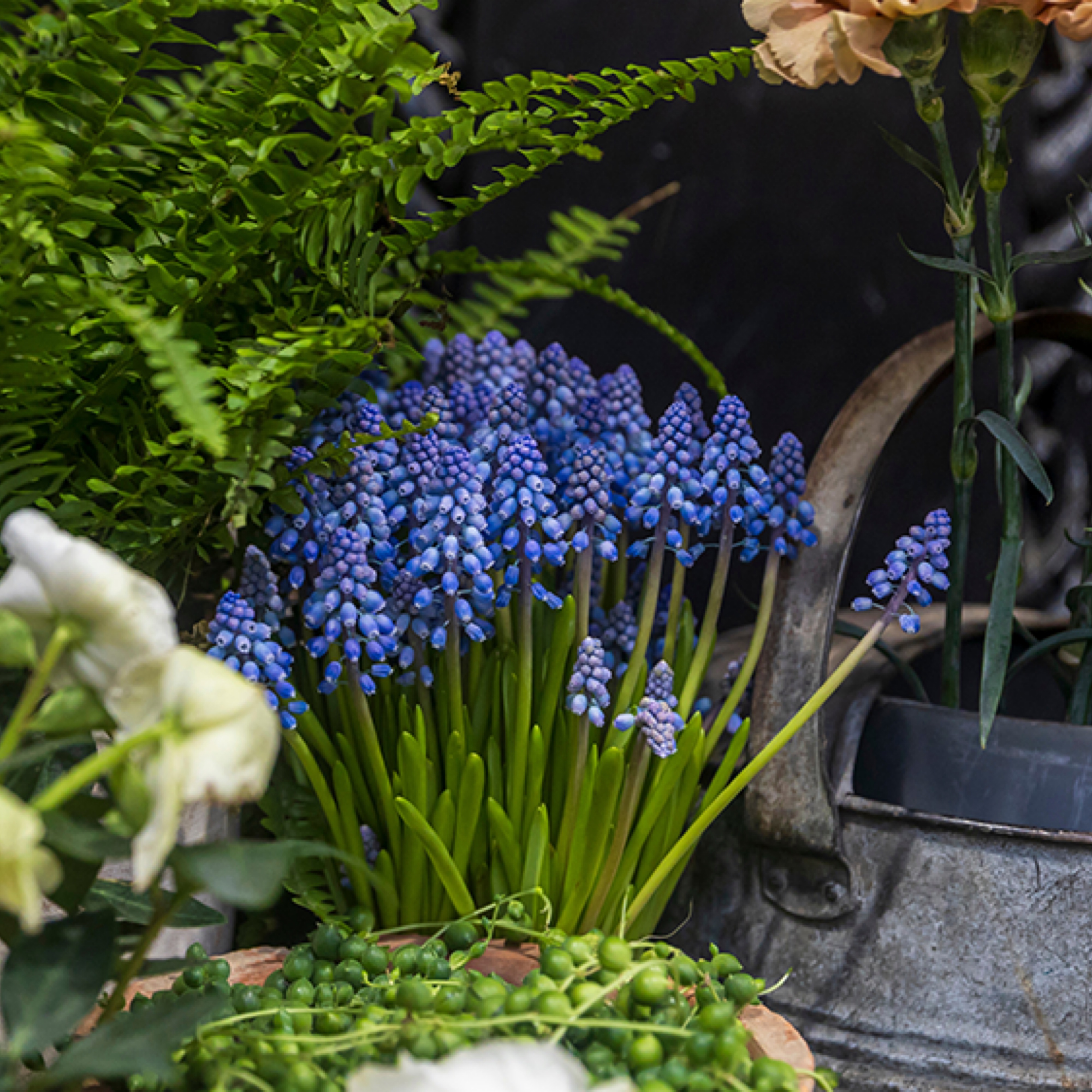 Seasonal Decor Trends to Refresh Your Restaurant's Ambiance