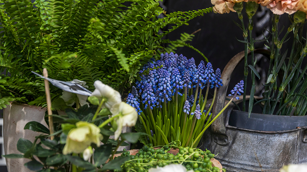 Seasonal Decor Trends to Refresh Your Restaurant's Ambiance