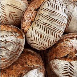 The Bread Shack