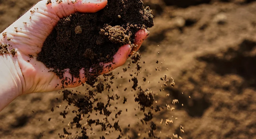 Soil, Mulch & Blends Image