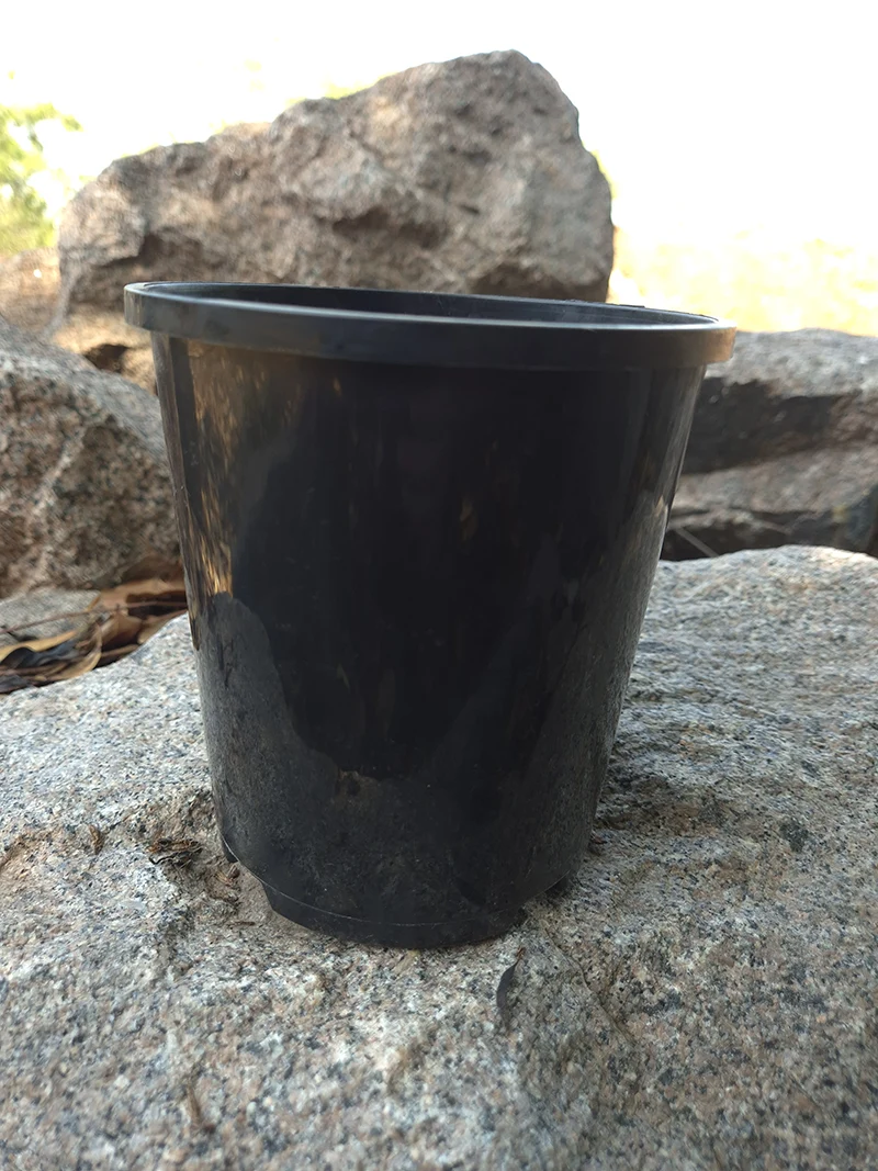 200mm Black Pot