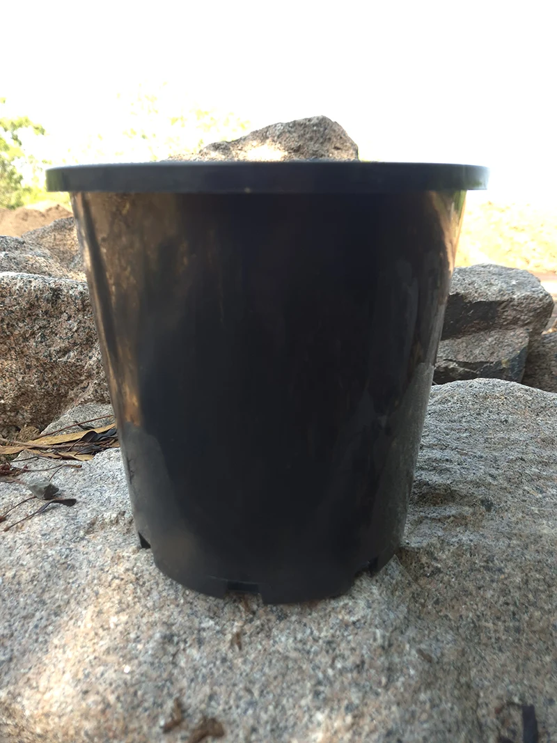 300mm Black Pot Standard