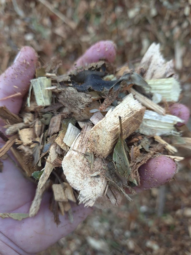 Forest Mulch Image 1