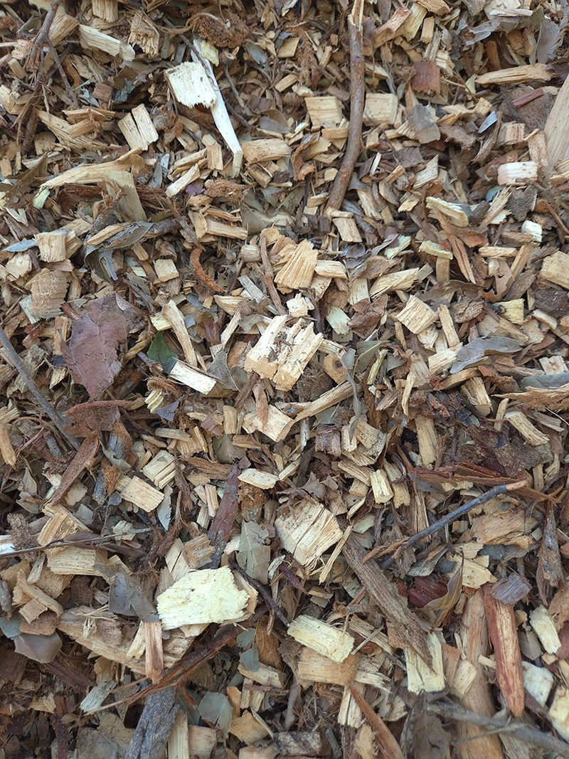 Forest Mulch
