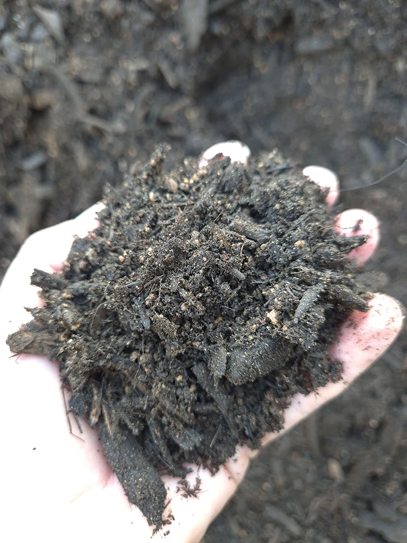 Standard Potting Mix Image 1