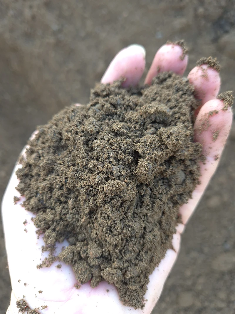 Type A Topsoil Image 1