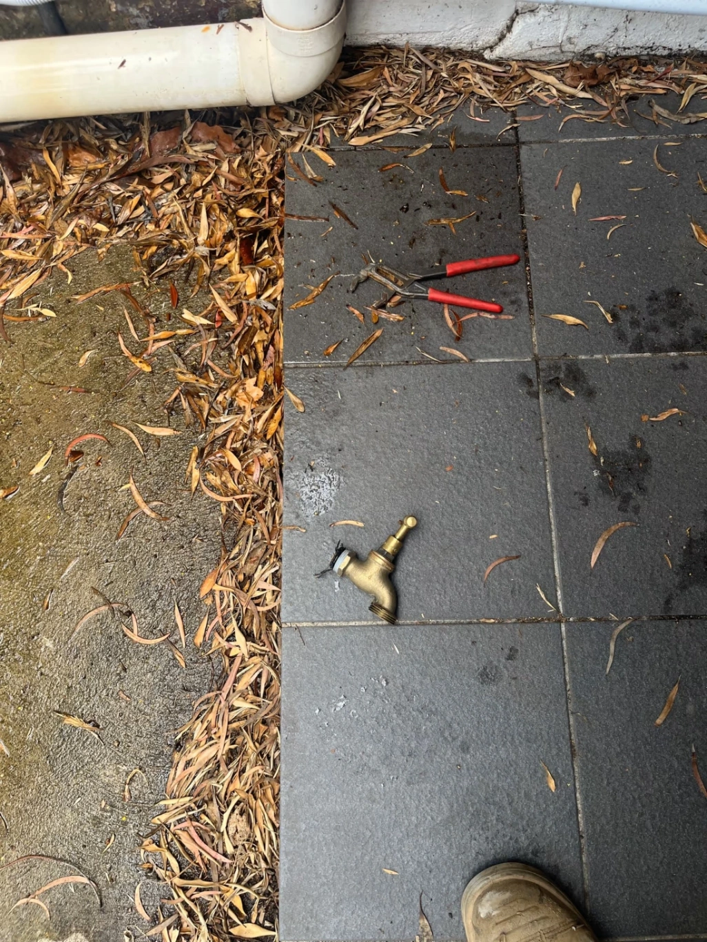 Leaking Garden Tap in Marrickville