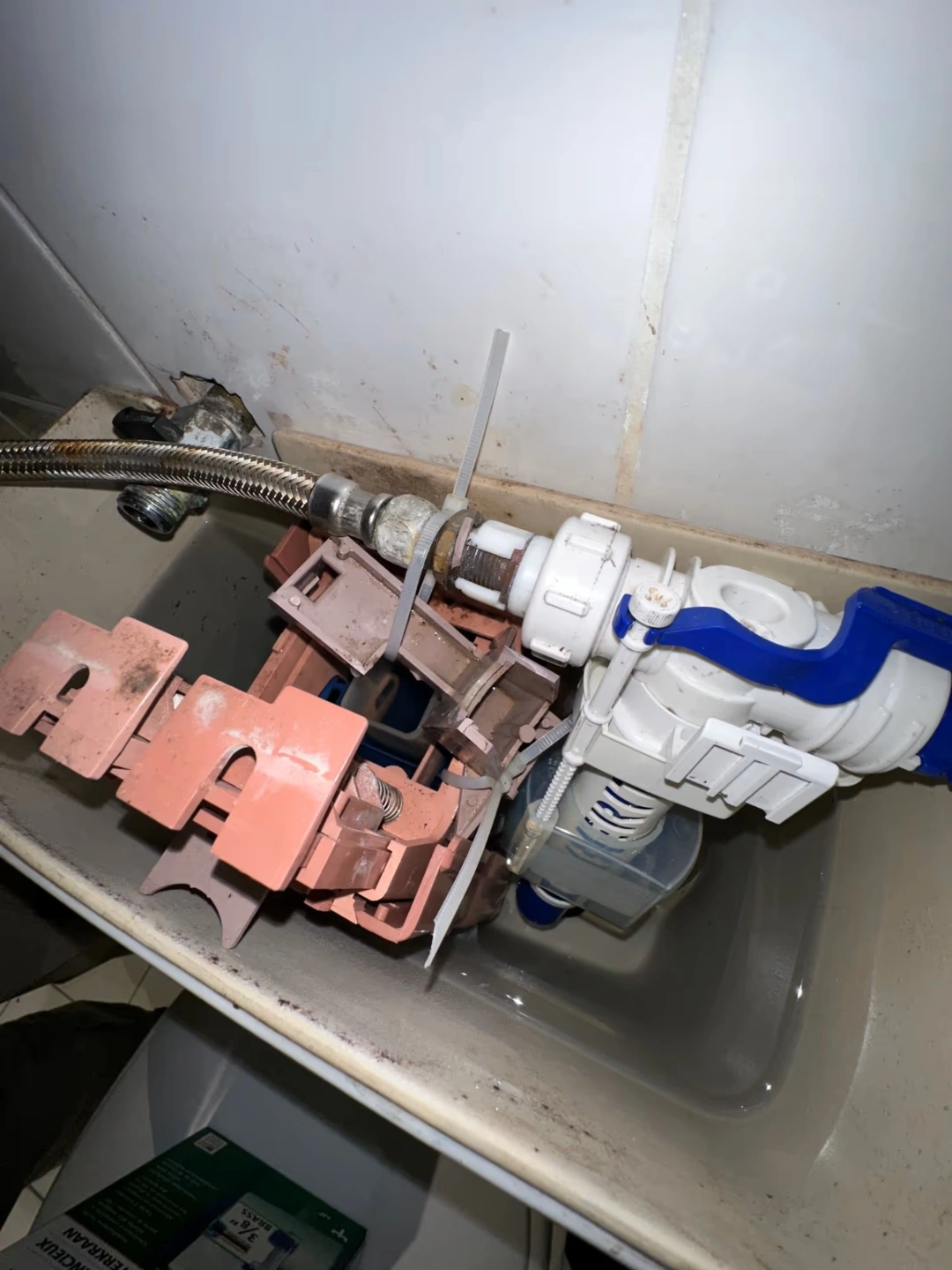 Leaking Guest Toilet In Bondi Beach