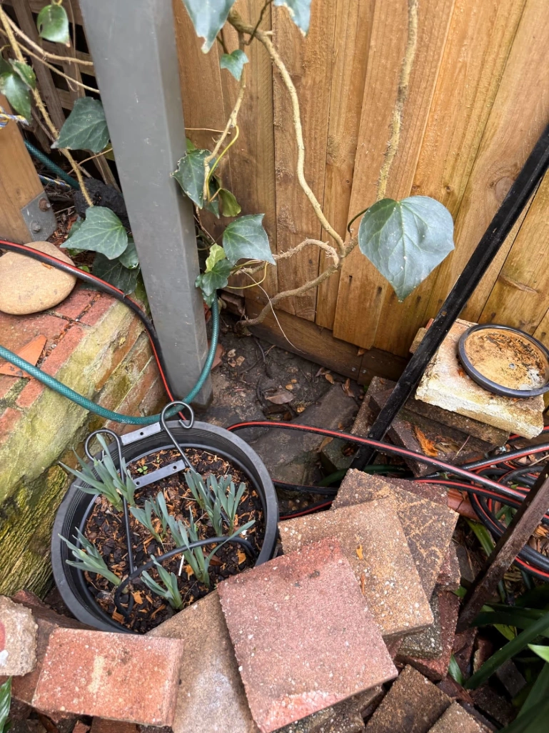 Stormwater Drain & Root Repairs Marrickville