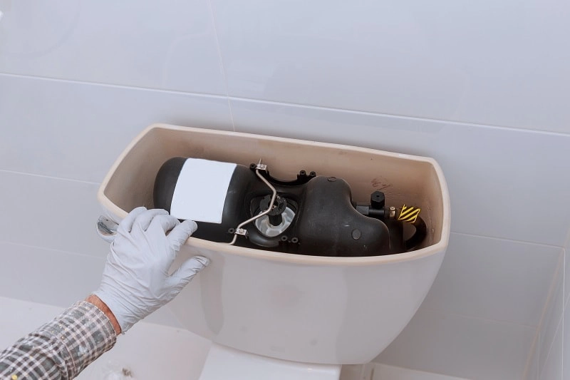 Cistern repairs toilet