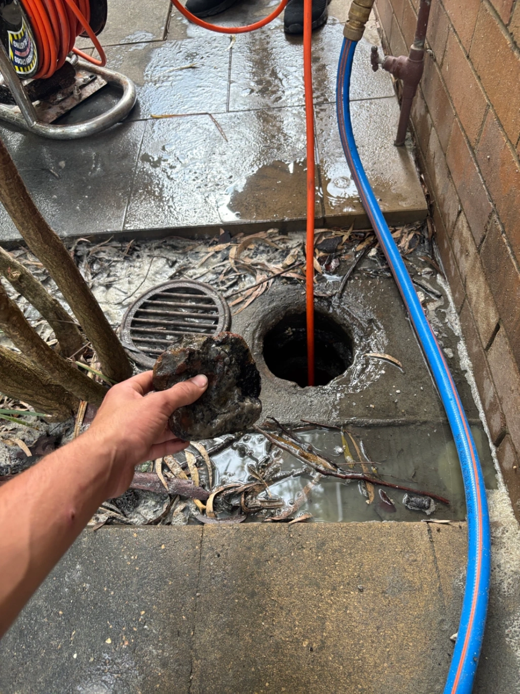 Blocked Drain Investigation In Randwick