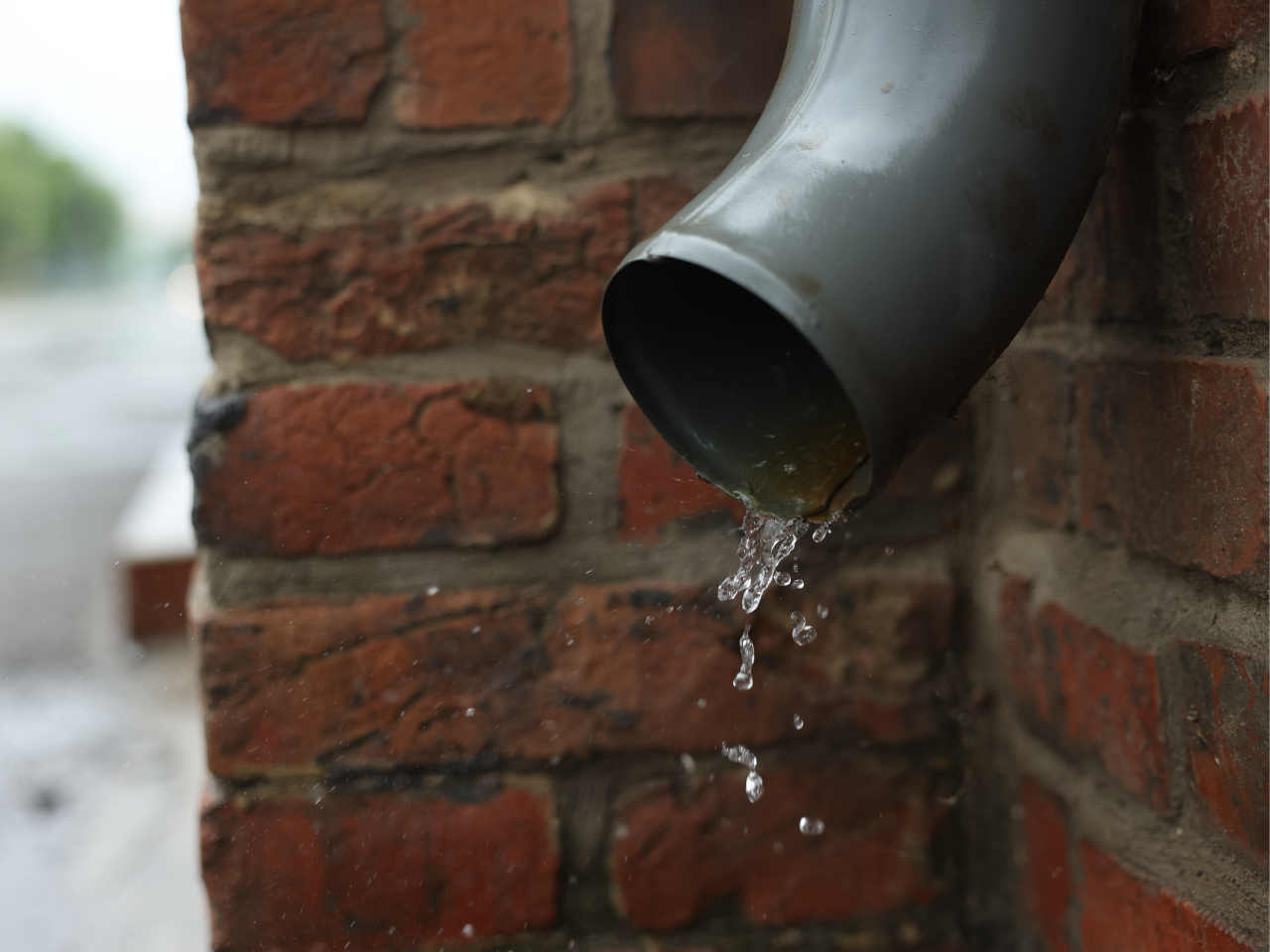 Stormwater Downpipe Drainage Solution Sydney