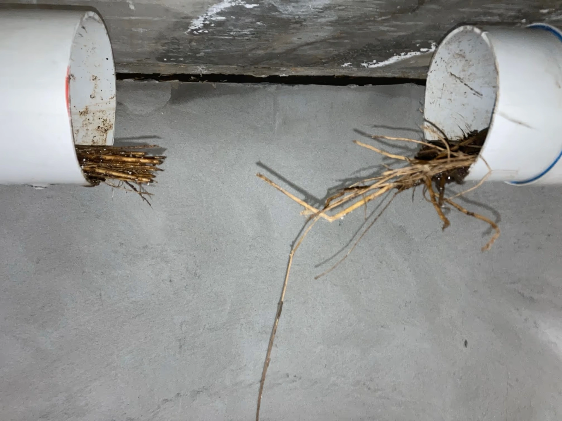 Coogee Strata Units Stormwater Leak Detection, Repairs and Waterproofing