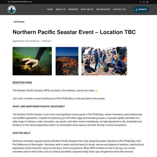 Northern Pacific Seastar Event @ Middle Brighton Beach Surf Life Saving Club