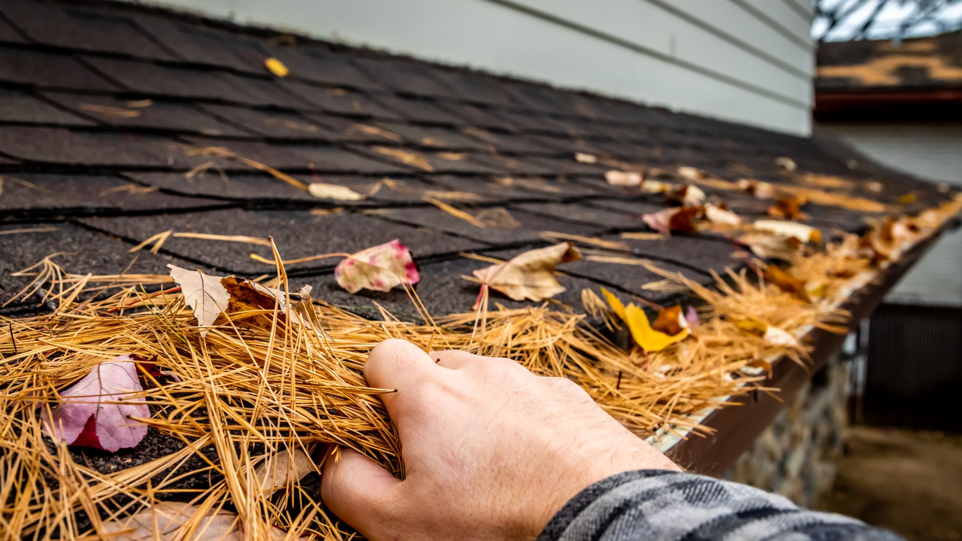 Cleaning Debris Guttering