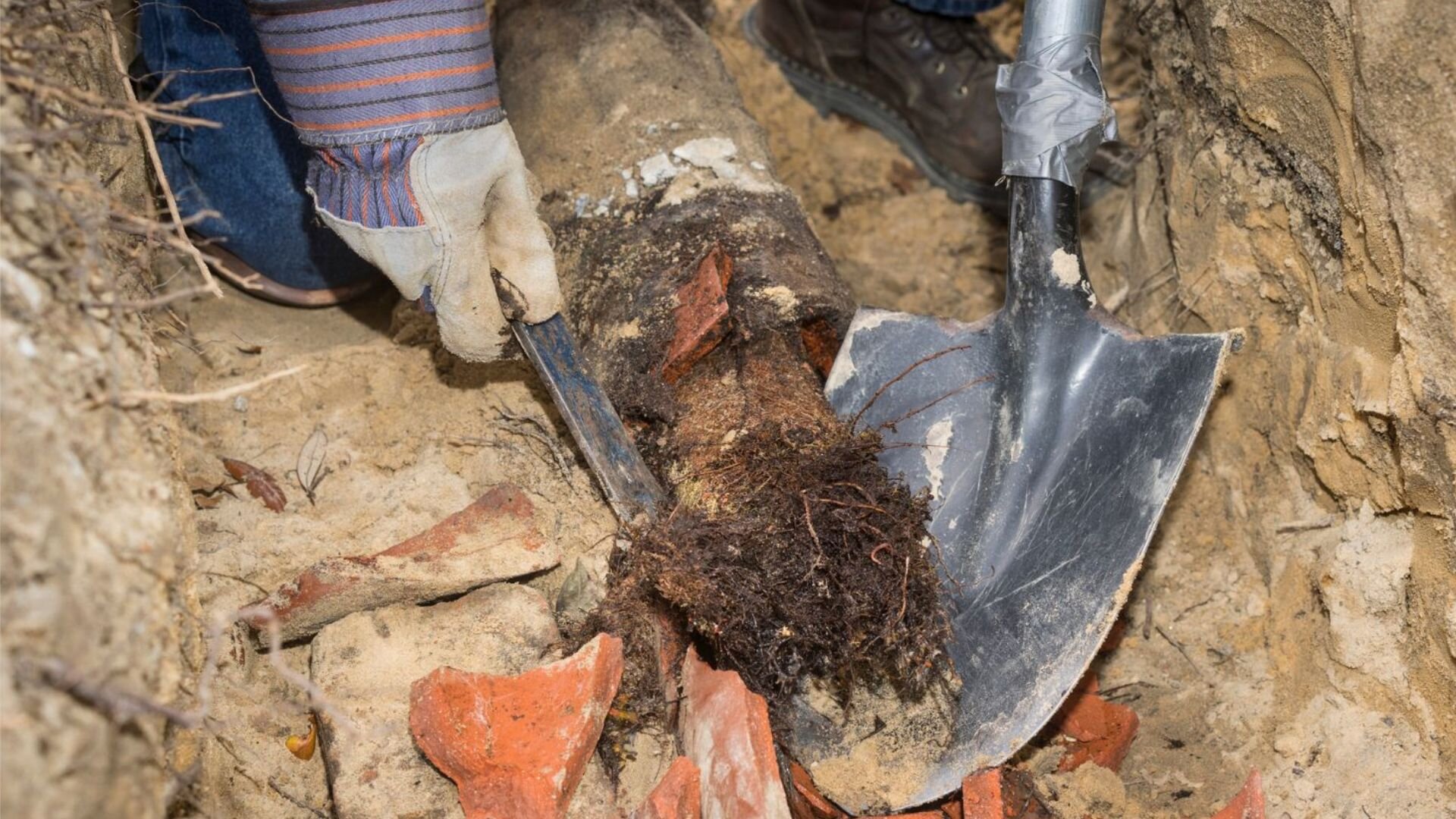 Plumbing Removing Roots