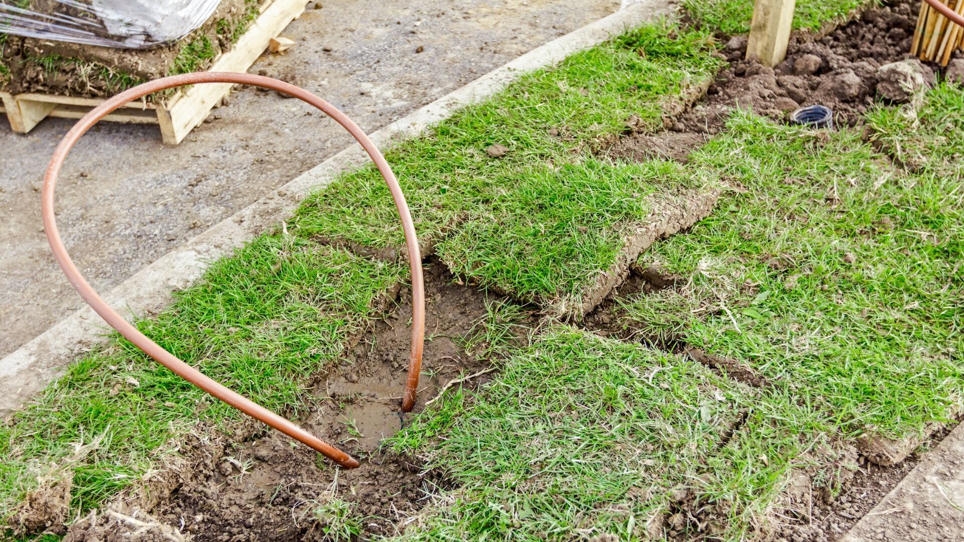 Removing Tree Roots Pipes