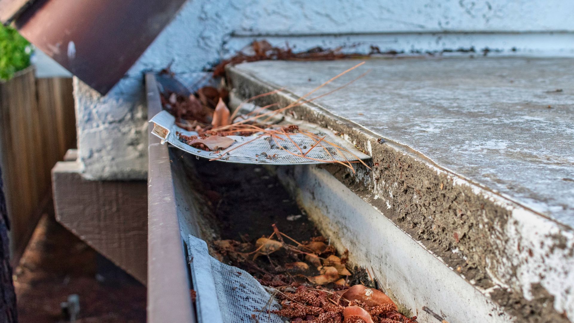 Roof Gutters Debris Dirt