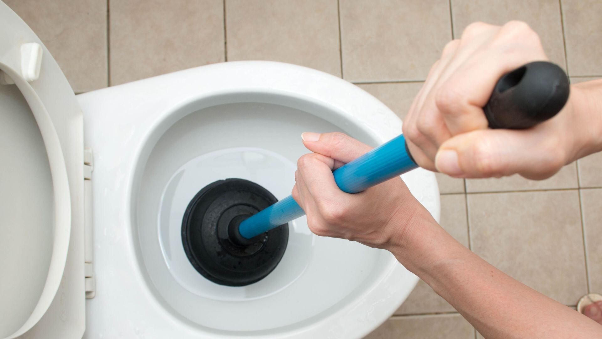 Plunger Blocked Toilet