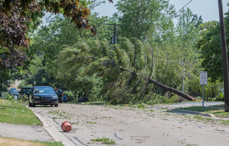 Storm Damaged Power Lines