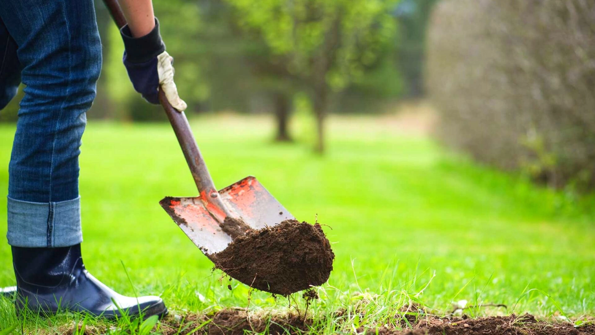 Digging Yard Shovel
