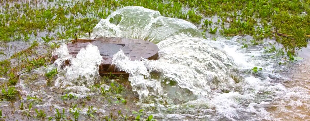 Overflowing Sewer Drain