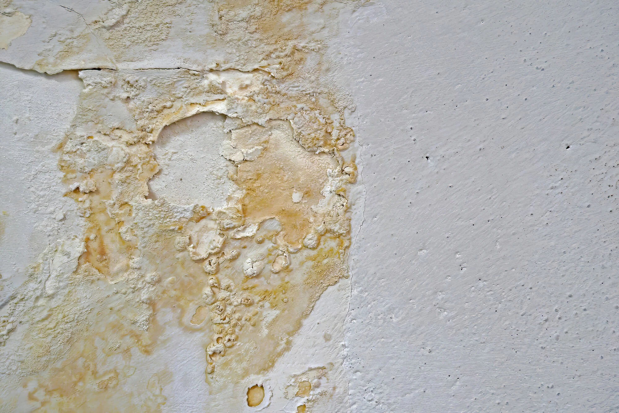 Water Damage White Wall