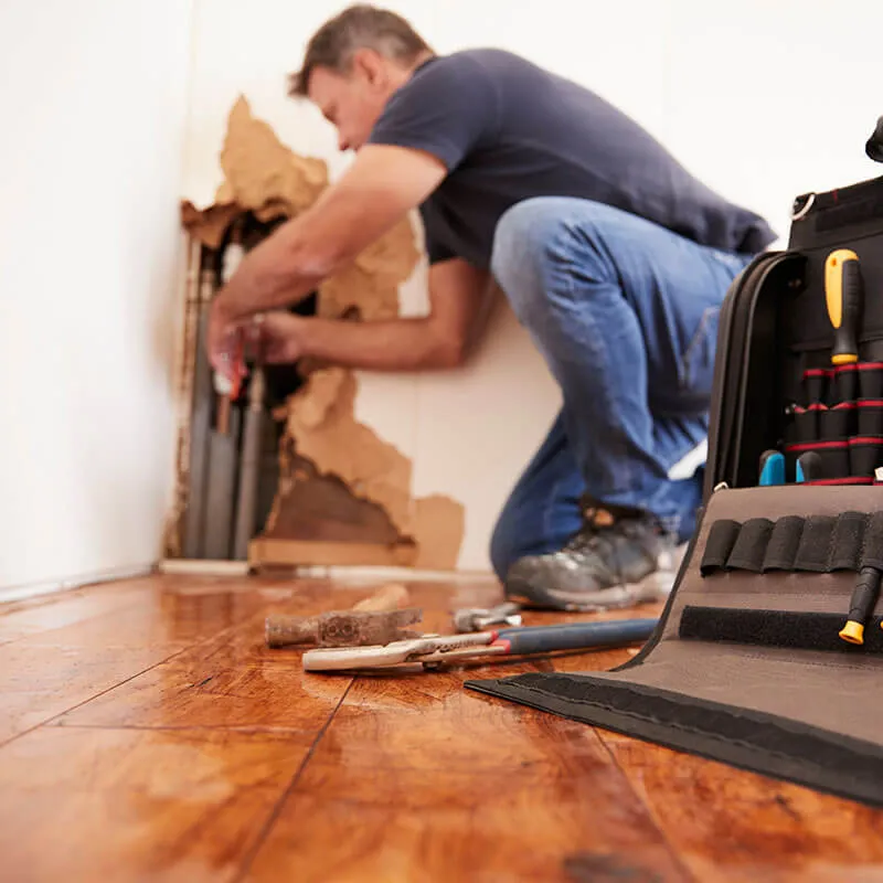 Professional plumber locating hidden leak detection and burst pipe repairs in Brisbane with Evermore Plumbing & Gas