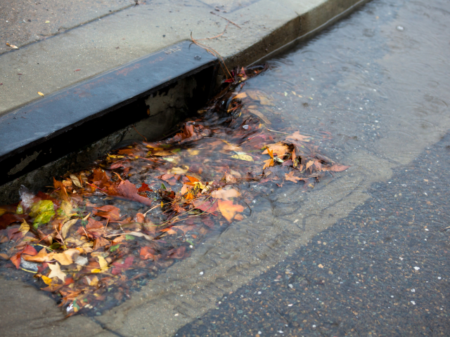 An example of a stormwater drain blocked by leaves and debris