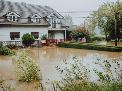 fooded-garden-bad-drainage-evermore