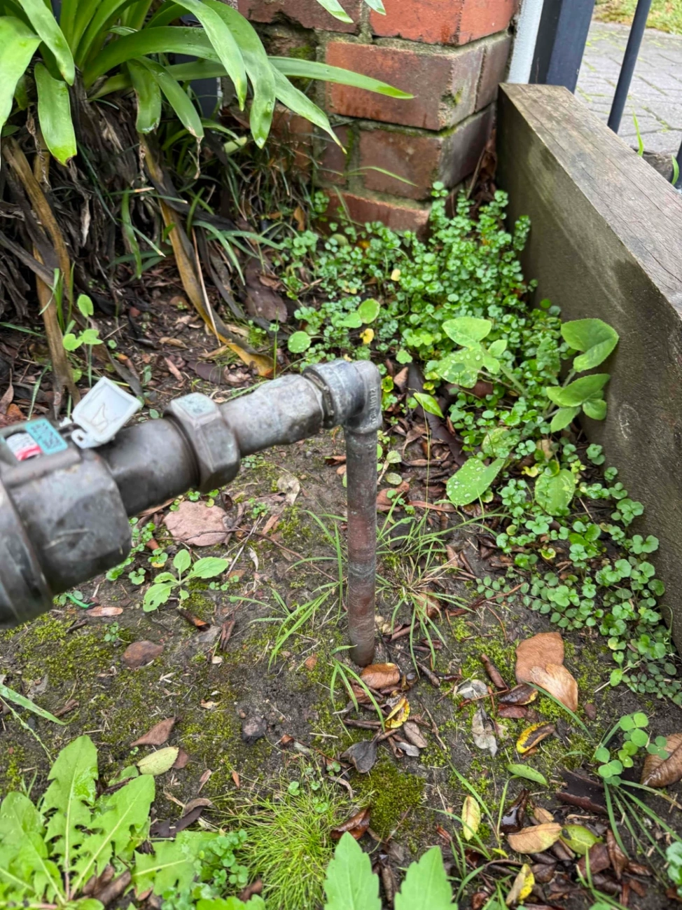 Pressure Limiting Valve Replacement