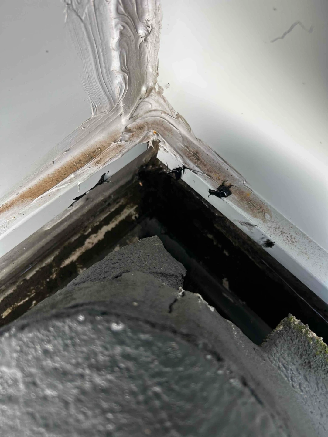 Roof Plumbing in Glenmore Park