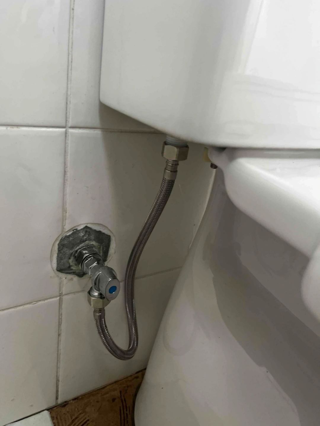 Professional Toilet Installation and Replacement