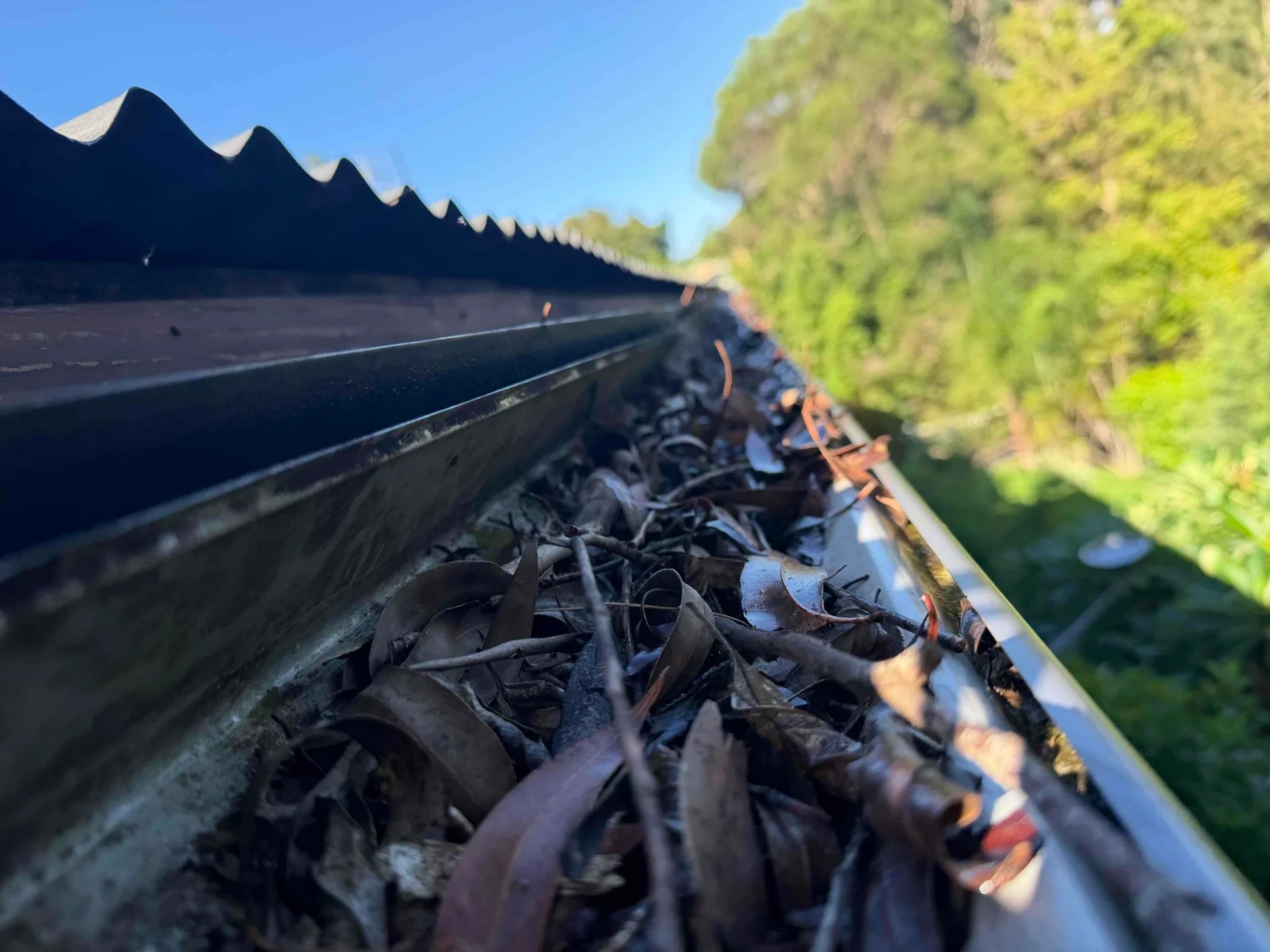 Blocked Downpipe and Stormwater Drain Clearing