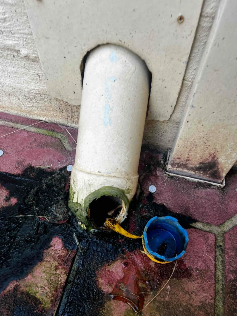Blocked Sewer Drain Repair
