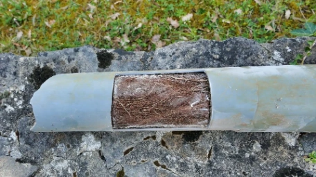 Blocked Drain with Roots in it