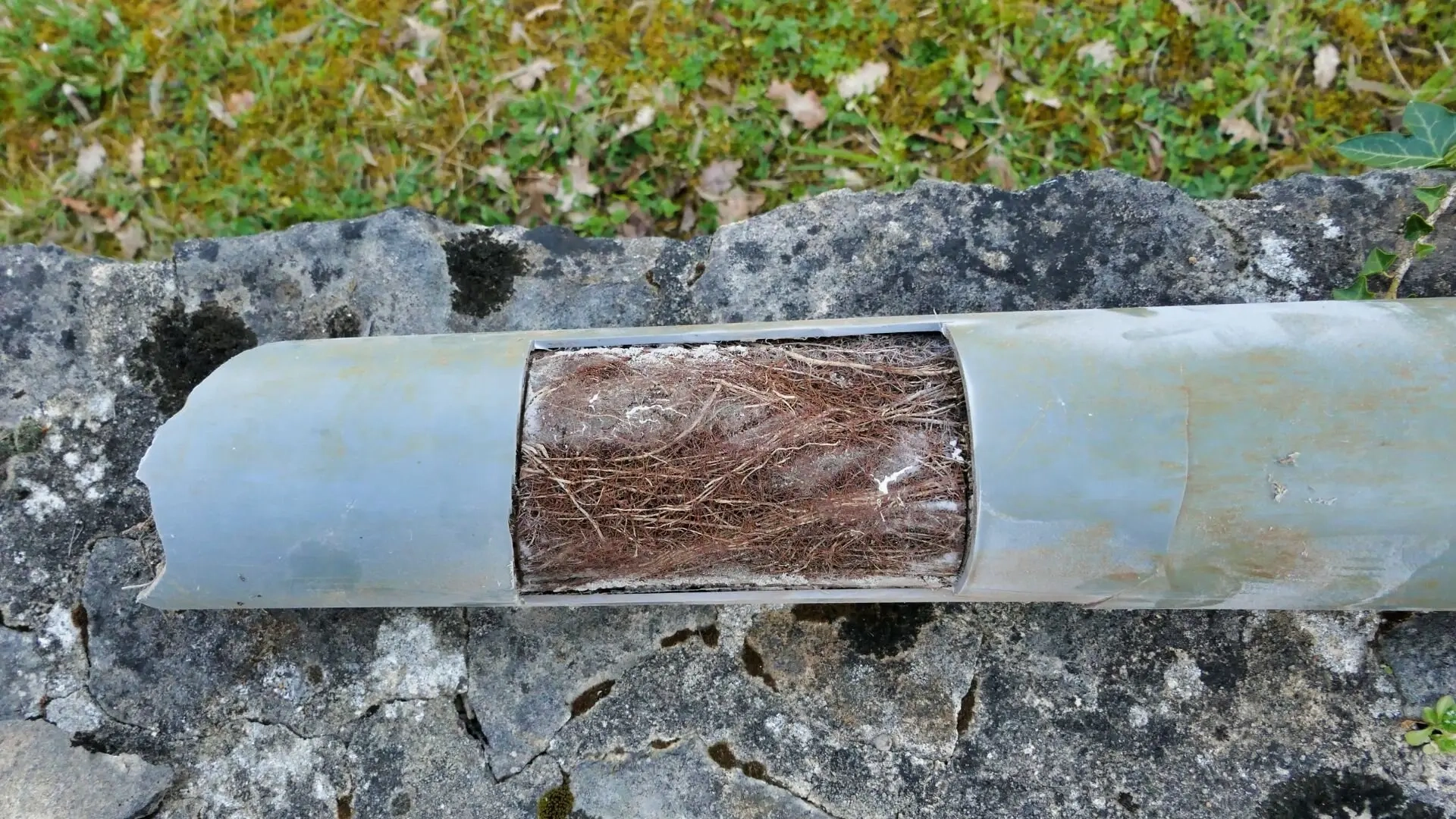 How to Prevent Drain Blockages