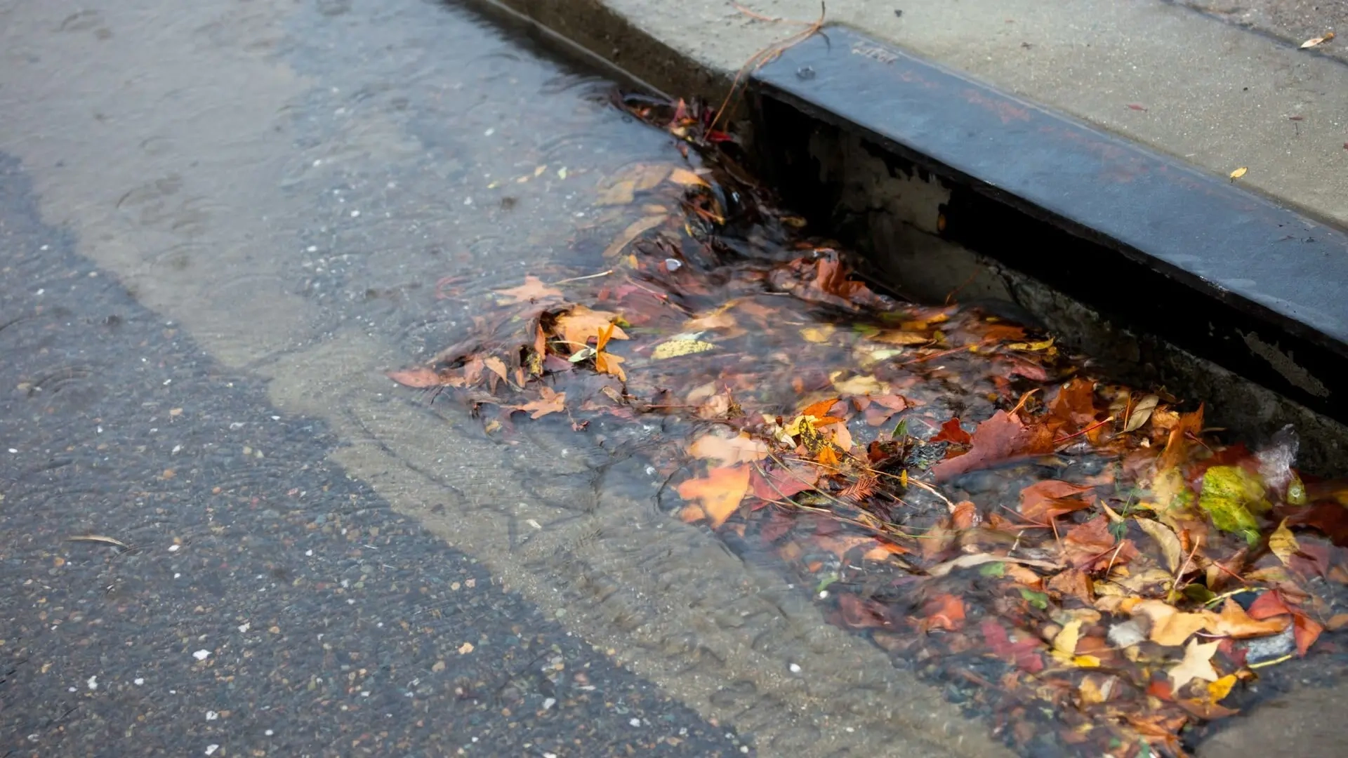 Effective Ways to Prevent Stormwater Drain Blockages