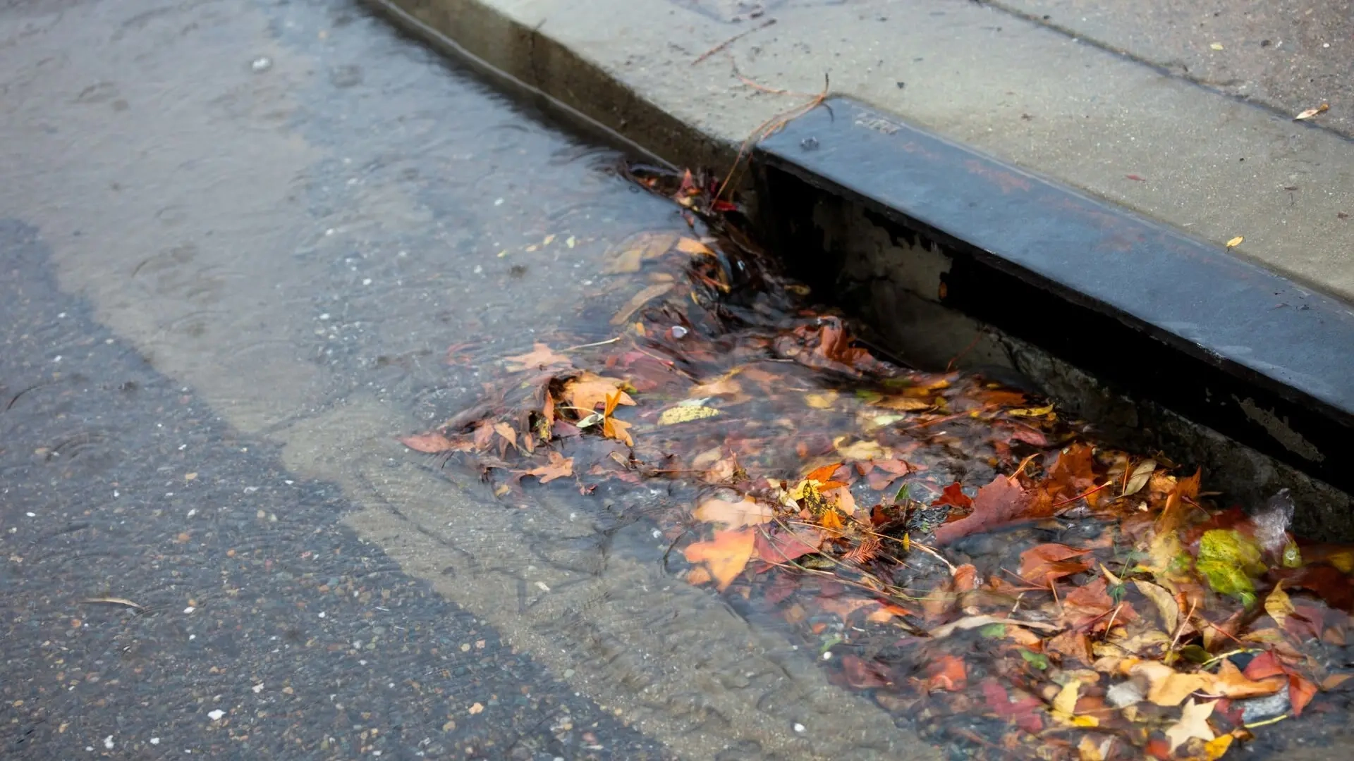 Blocked stormwater drain emergency