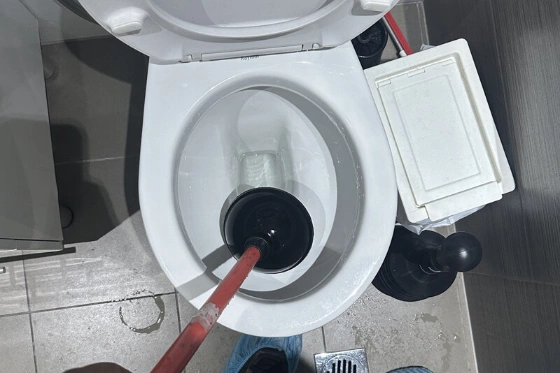 blocked toilets