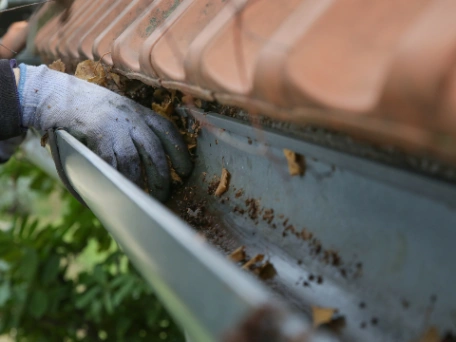 Gutter Maintenance