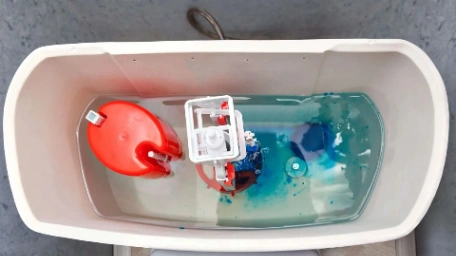 Dye Testing Toilet