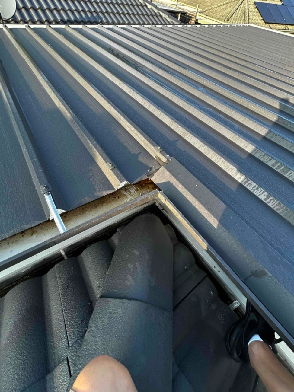 Roof Plumbing in Glenmore Park