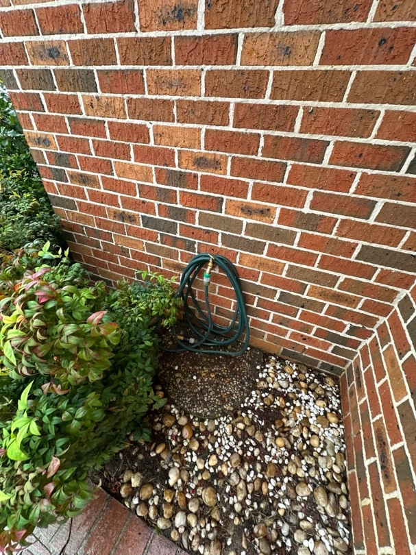Emergency Hot Water System Replacement and Plumbing Repairs