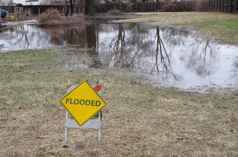A Flooded backyard with very poor drainage and a FLOOD hazard sign on it. 
