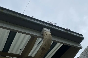 Gutter downpipe