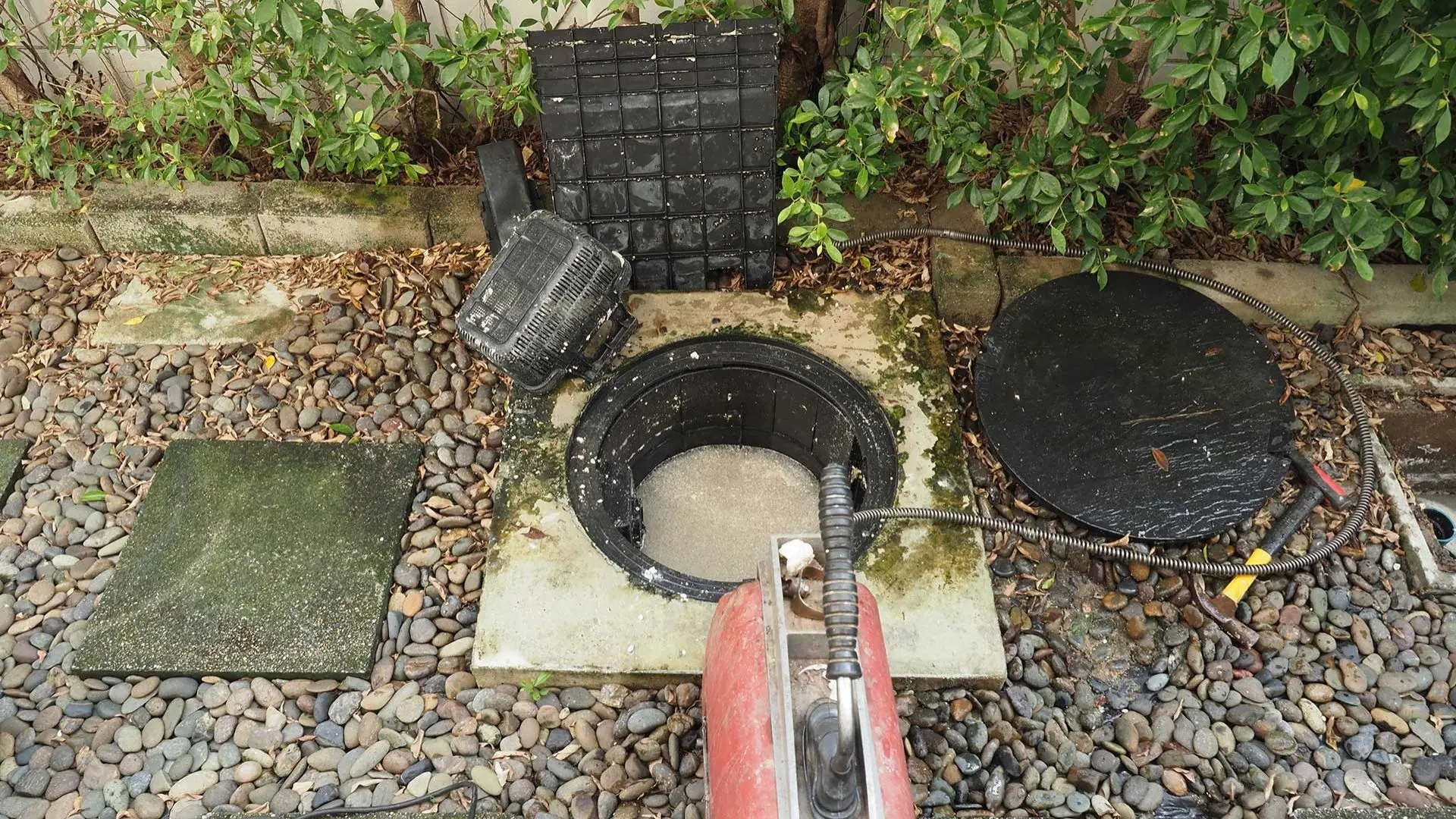 sewer